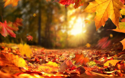 Őszi szünet a családok házában